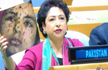 Pak’s UN envoy tries to pass off Gaza image as Kashmir